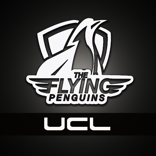 Flying Penguins